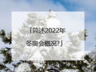 简述2022年冬奥会概况?