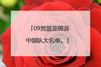 09男篮亚锦赛中国队大名单。