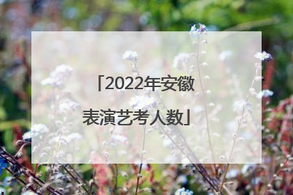 2022年安徽表演艺考人数