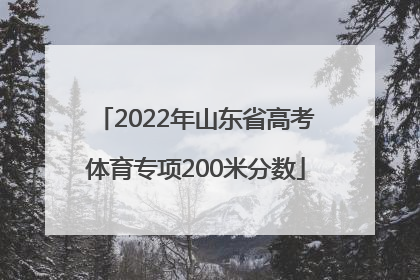 2022年山东省高考体育专项200米分数