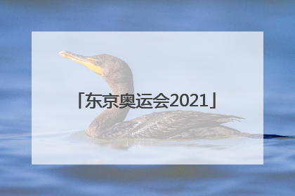 「东京奥运会2021」东京奥运会2020