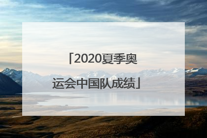 2020夏季奥运会中国队成绩