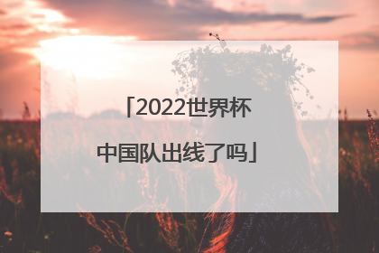 2022世界杯中国队出线了吗