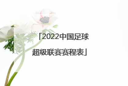 「2022中国足球超级联赛赛程表」2022年中国足球超级联赛分组