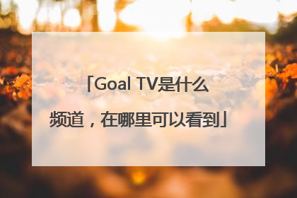 Goal TV是什么频道，在哪里可以看到