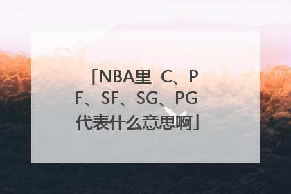 NBA里  C、PF、SF、SG、PG 代表什么意思啊