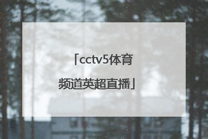 「cctv5体育频道英超直播」广东体育频道英超直播粤语版
