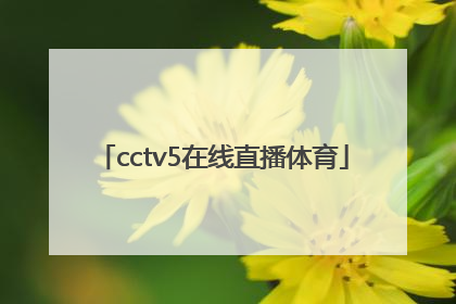 「cctv5在线直播体育」cctv5在线直播体育频道