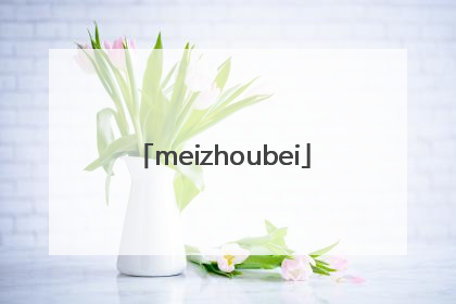 「meizhoubei」每周杯